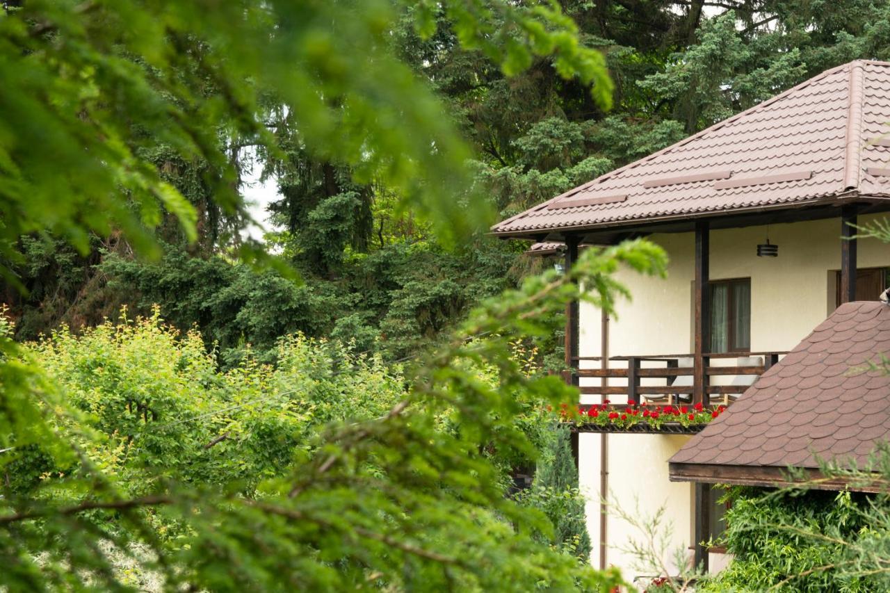 Pension Andra'S House Horezu Exterior foto