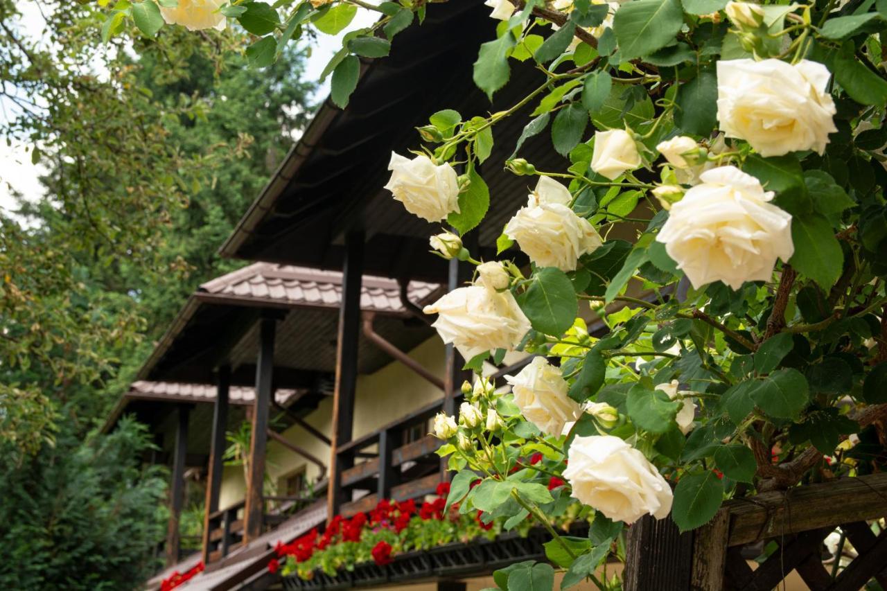 Pension Andra'S House Horezu Exterior foto