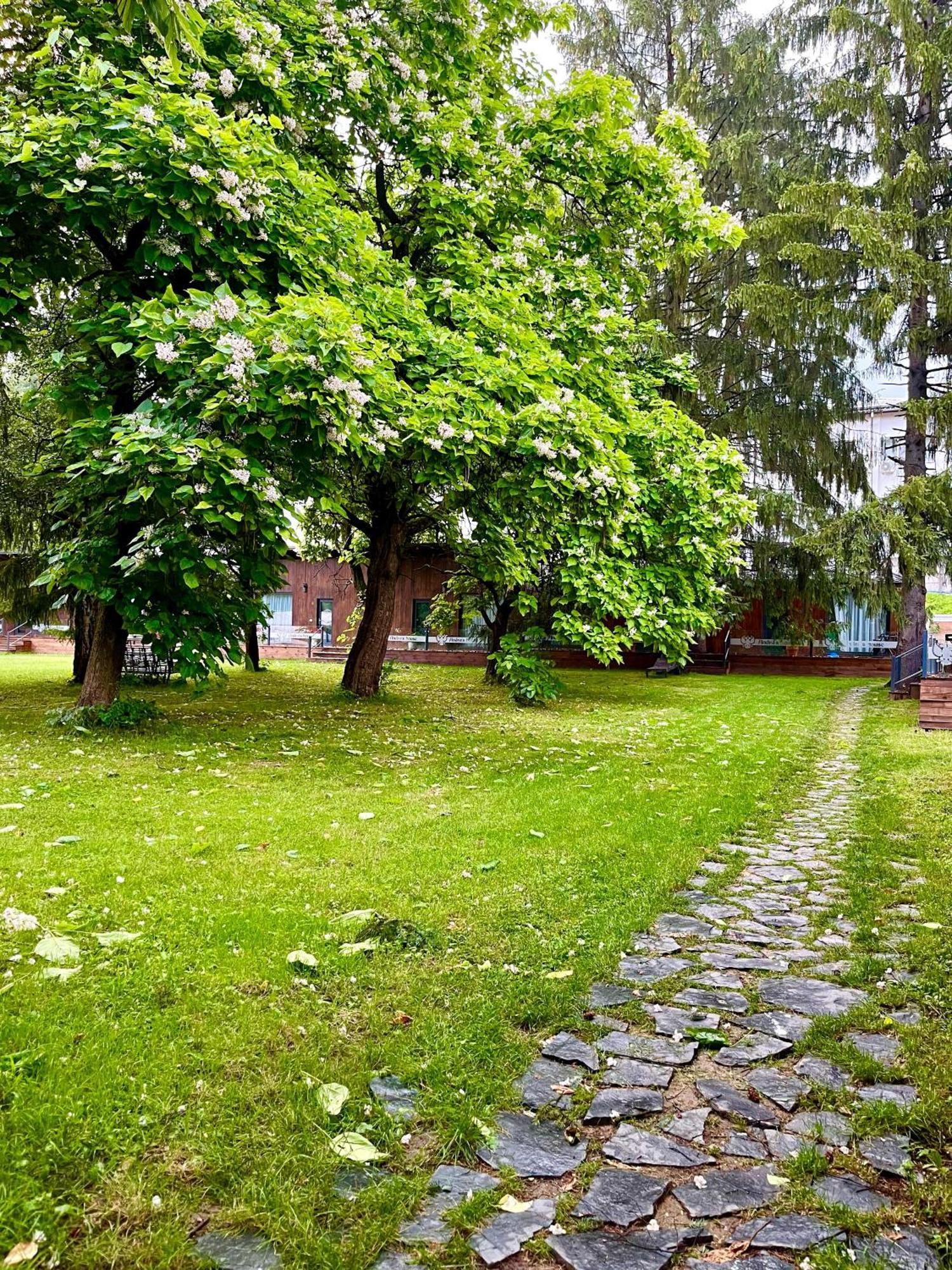 Pension Andra'S House Horezu Exterior foto